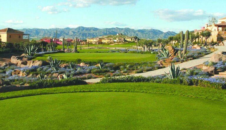 DESERT SPRING
