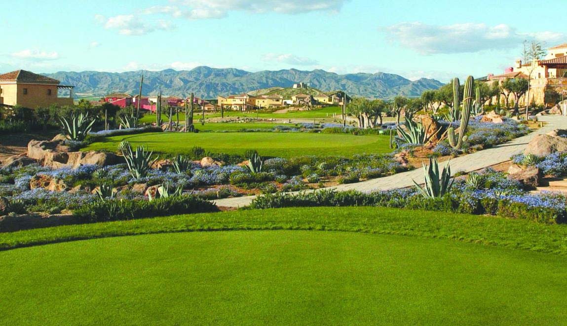 DESERT SPRING