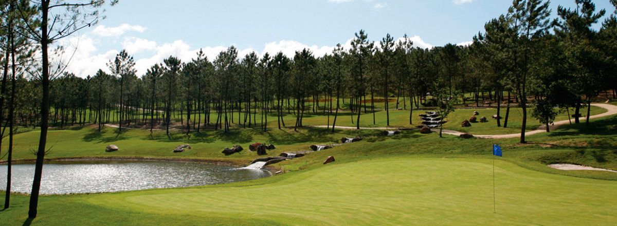 1golfe