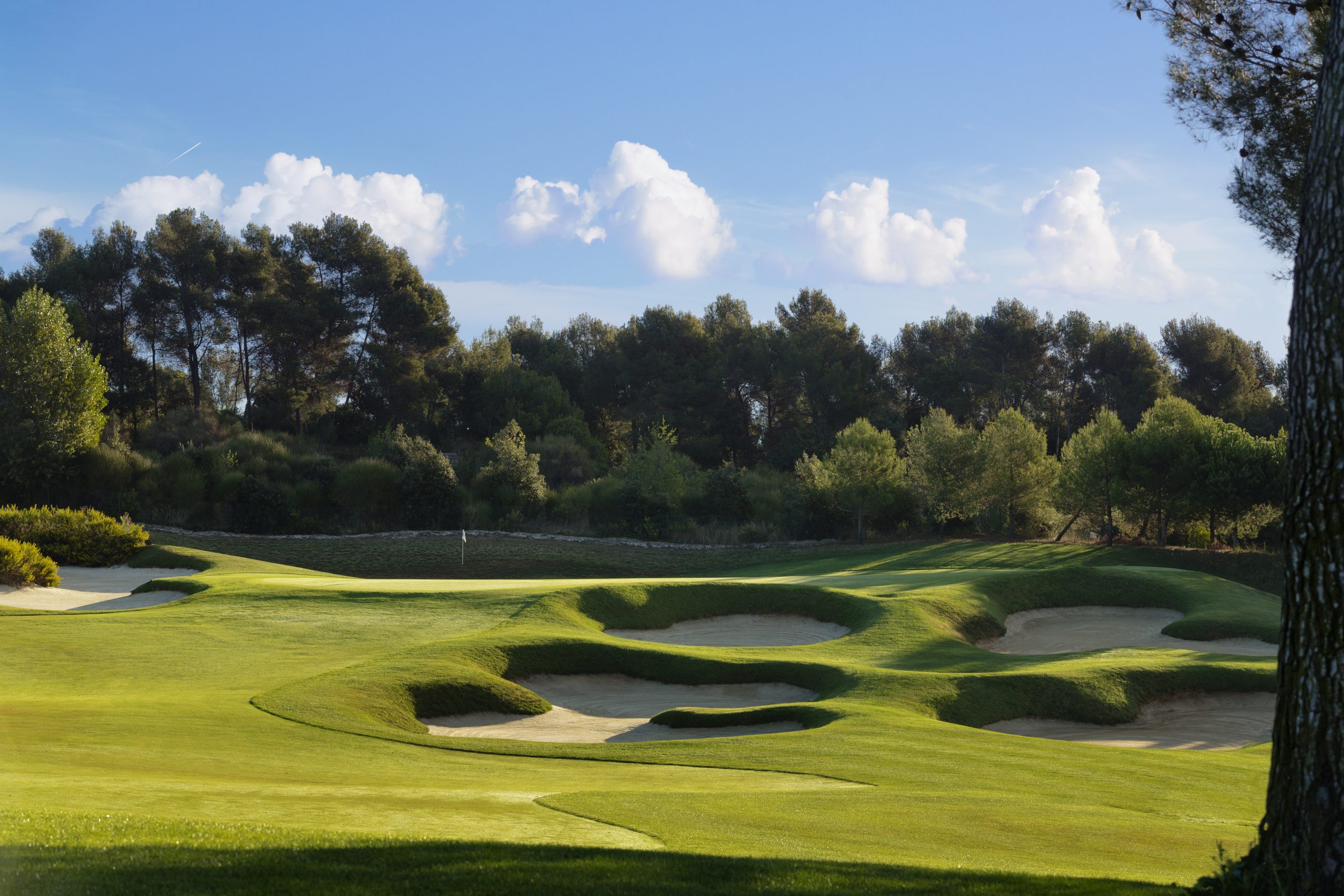 hole 10 pink course o
