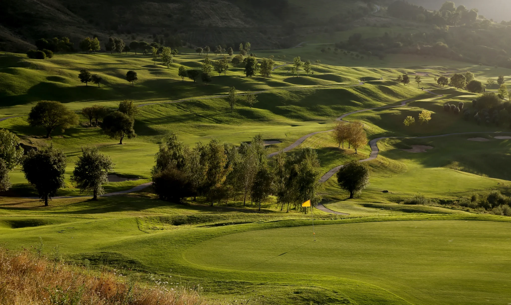 IV Bizkaia PGAe Open
